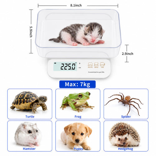 0.5g High Precision Digital Pet Scale I40143